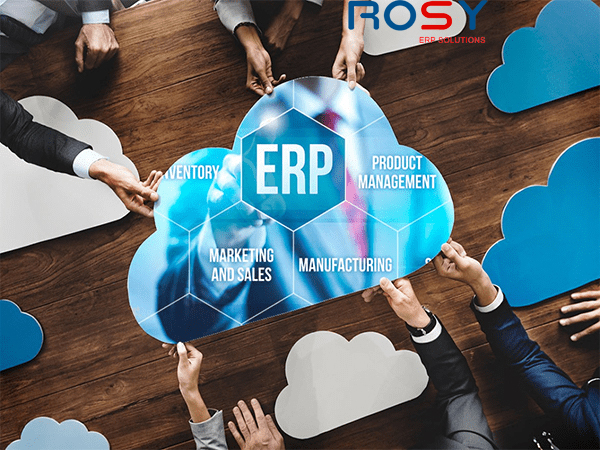 Ưu điểm và hạn chế khi tự xây dựng hệ thống ERP